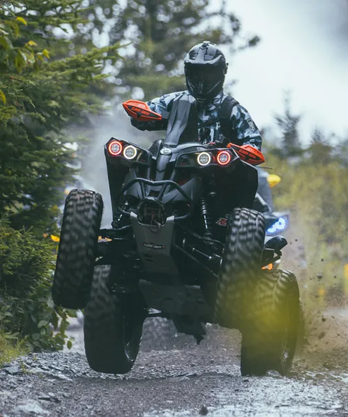 Trail riding