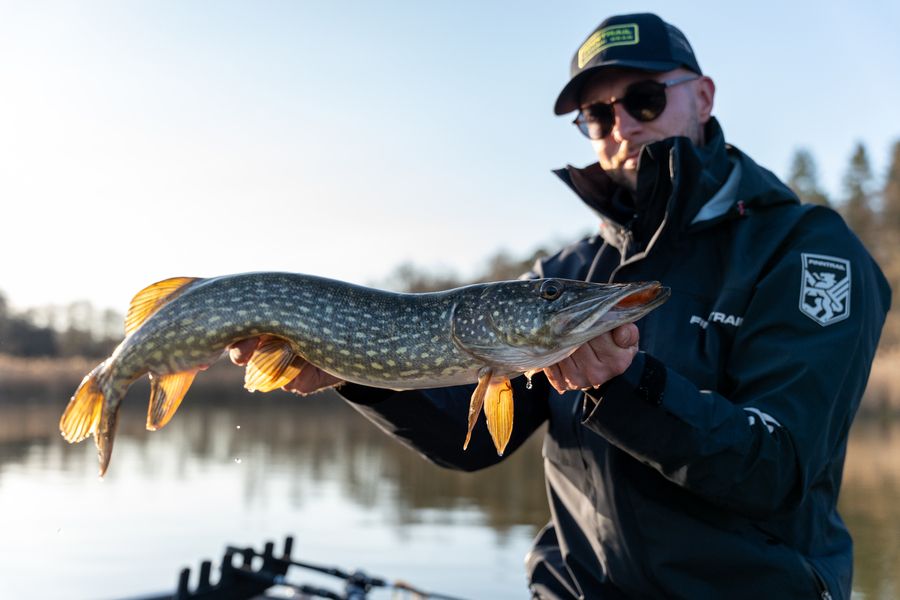 best lures for winter pike fishing Northern-Pike-Lures-Multi-Jointed-Swimbaits-Fishing-Lure 5" 8" inch Musky Lake Trout Tackle : Sports & Outdoors Bigger Lures Catch Bigger PikeMostly!