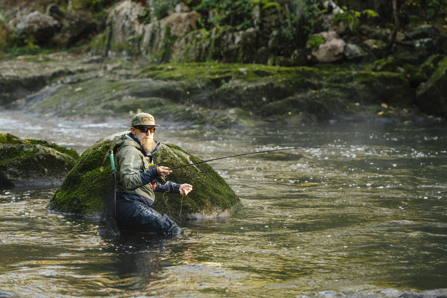 Bait in Carp Fishing: The Complete Guide Bait in Carp Fishing: The Complete Guide