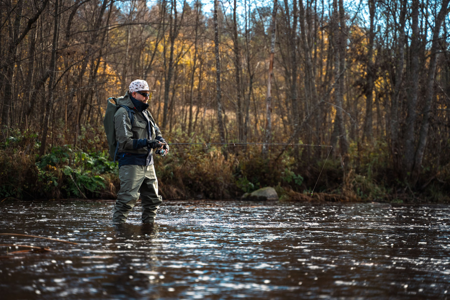 Bait in Carp Fishing: The Complete Guide