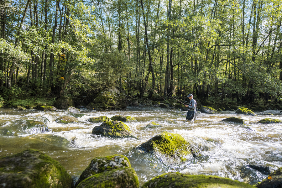 The Complete Guide to Using Live Bait in Freshwater The Complete Guide to Using Live Bait in Freshwater