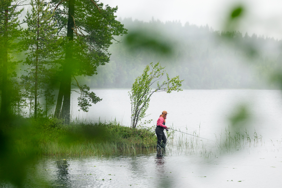 Salmon Fishing in Germany: Tips and Techniques