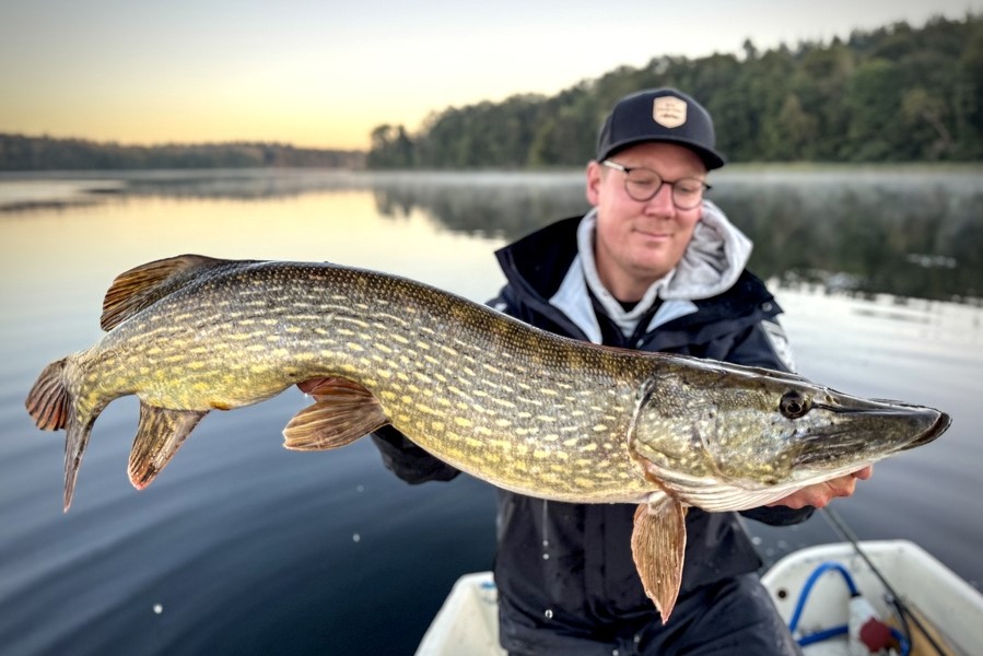 Top Target Species in Autumn in France Top Target Species in Autumn in France