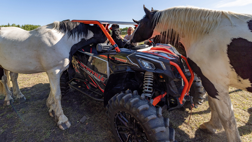 utv and horse