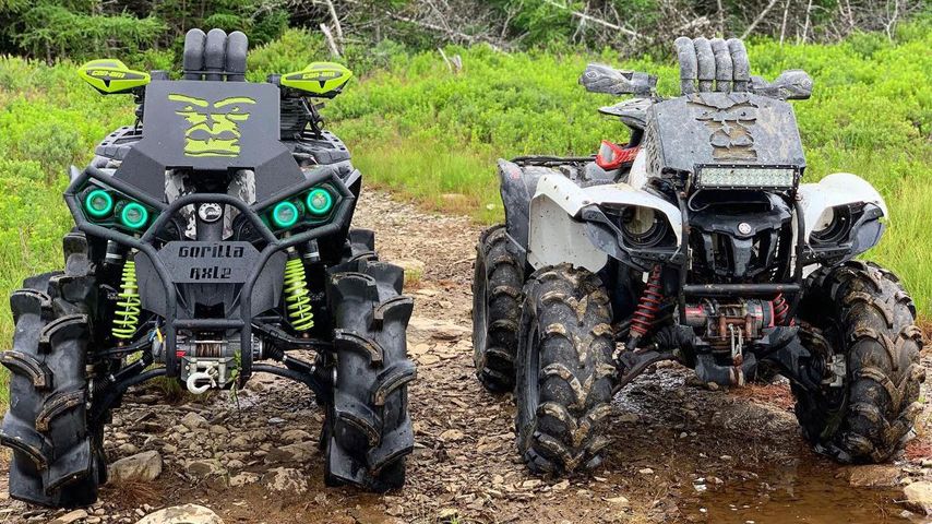 atvs in woods