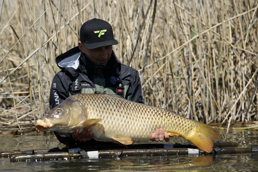 How to Catch Carp in France: The Complete Guide 