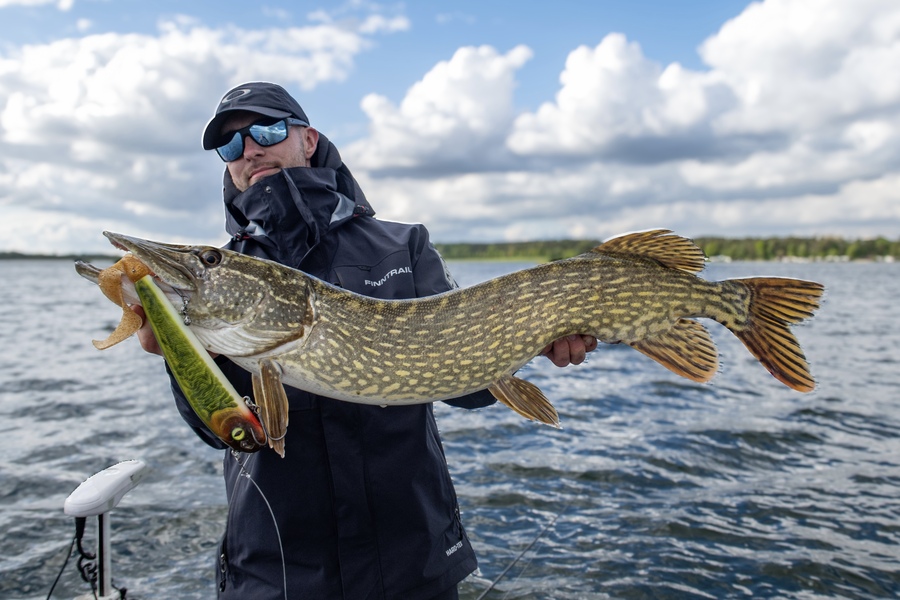 Germany Fishing Laws: Penalties for No License