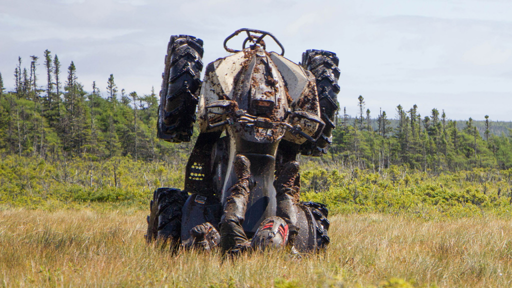 atv wheelie fall