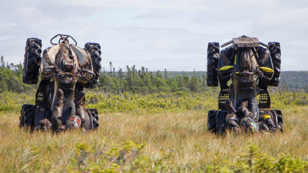 atv wheelie in grass