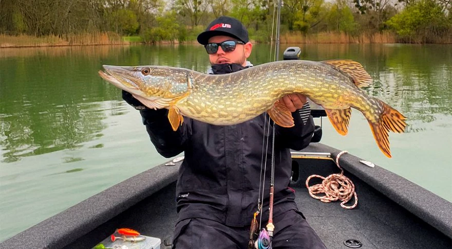 Fishing Rod Buying Guide: Find the Right Rod for You