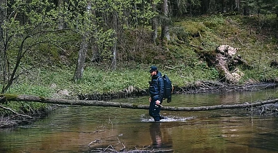 The Complete Guide to Fishing in Streams