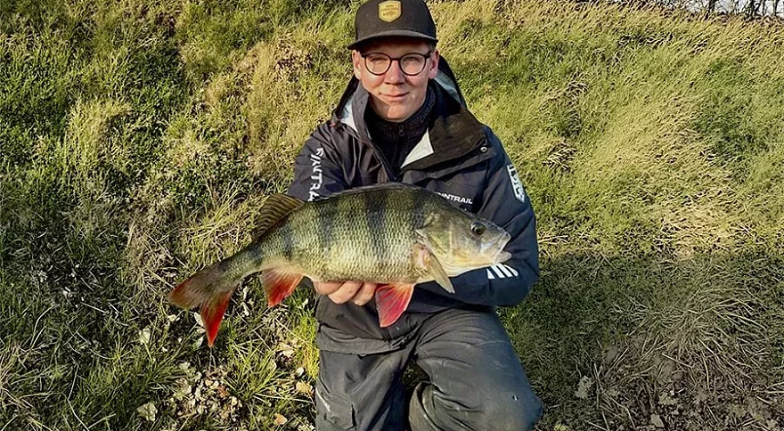 Pro Tips for Big Perch Fishing