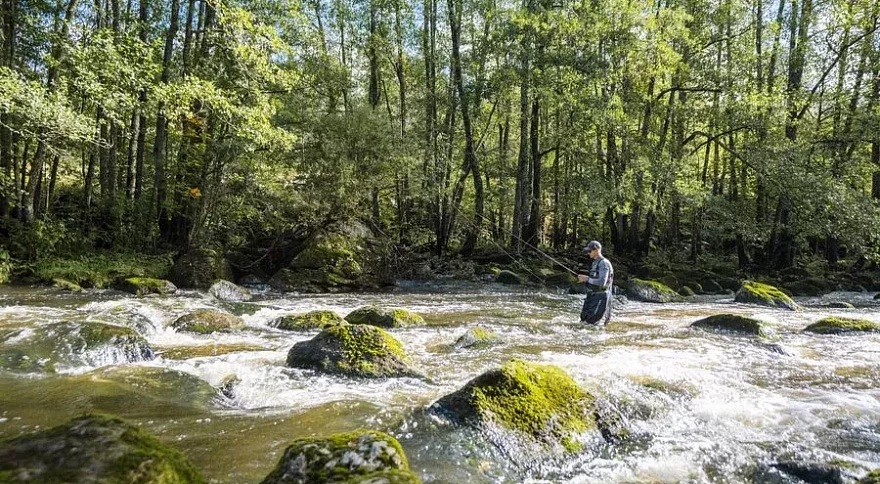 Comment utiliser des leurres de pêche : guide complet pour débutants et passionnés