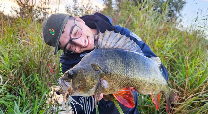 How to Go Pro in Fishing Competitions