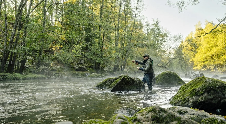 Wie man das Wasser liest, um beim Fliegenfischen erfolgreich zu sein