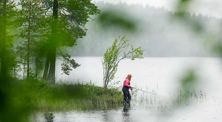 Pêche au saumon en Allemagne : conseils et techniques