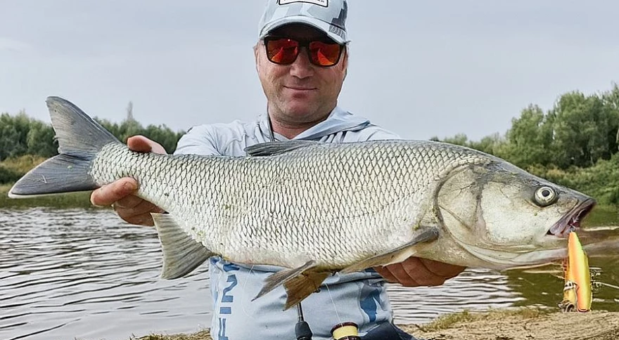 Best Waters: Top Fishing Spots in Germany