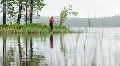 What Is Better to Fish With, Live Bait or Lures?
