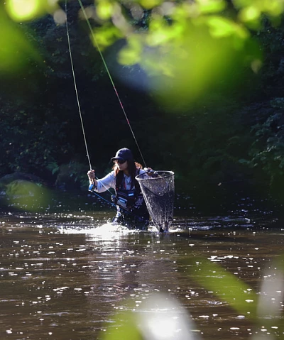 L’art du mending (correction de ligne) en pêche à la mouche