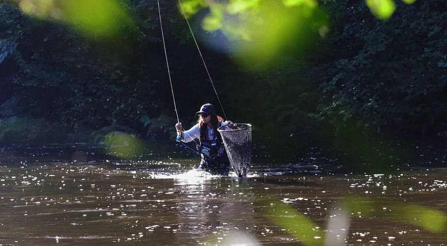 L’art du mending (correction de ligne) en pêche à la mouche