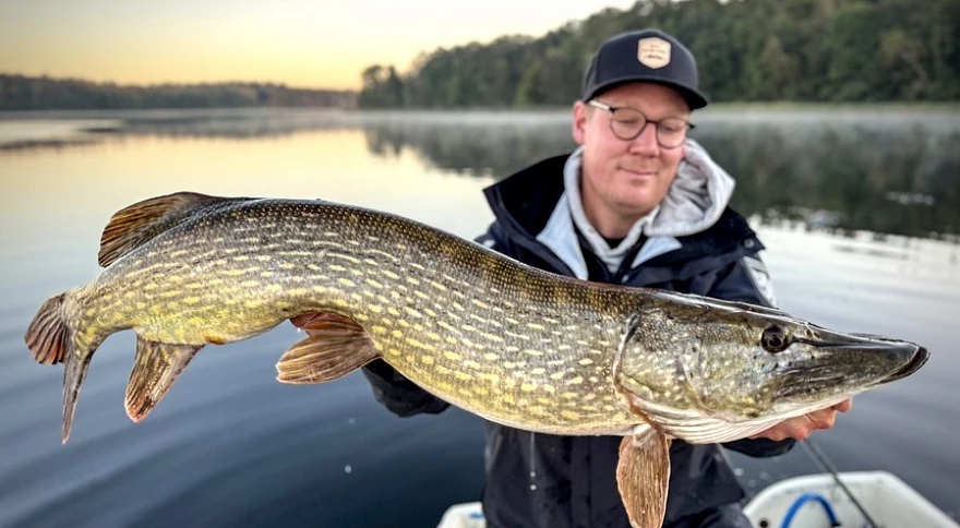 Top Target Species in Autumn in France