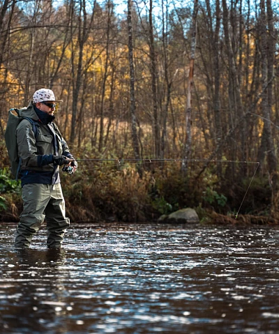Bait in Carp Fishing: The Complete Guide
