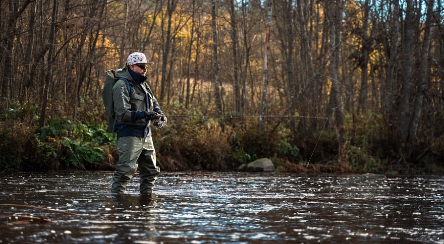 Bait in Carp Fishing: The Complete Guide