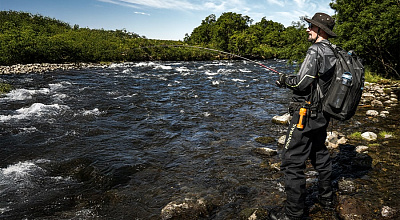 Freshwater Fishing 101: How to Catch the Most Popular Species