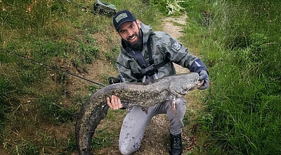 Catching Catfish: Effective Methods and Bait