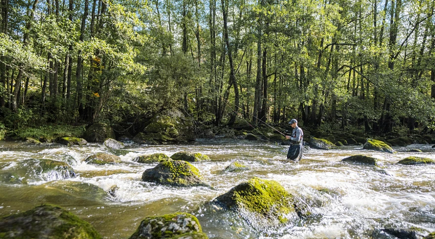 Der vollständige Leitfaden zur Verwendung von Lebendködern im Süßwasser
