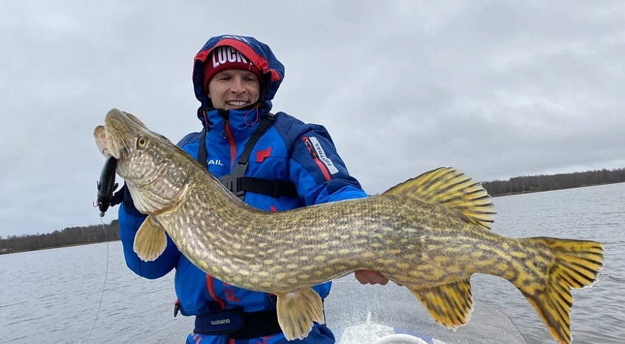 Meilleures façons de garder le poisson frais en bateau