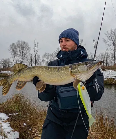 Quel est le meilleur type de canne à pêche pour attraper de gros poissons ?
