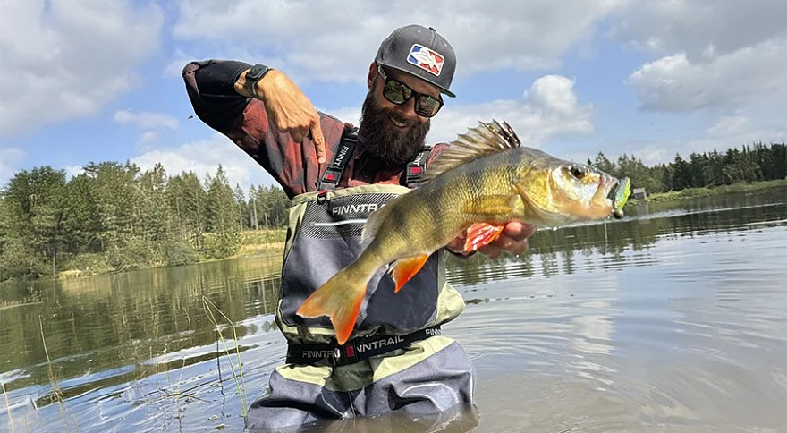 How to Choose the Right Bait