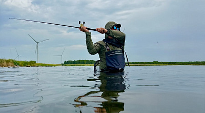 How to Choose the Right Fly Reel for Different Fish Species