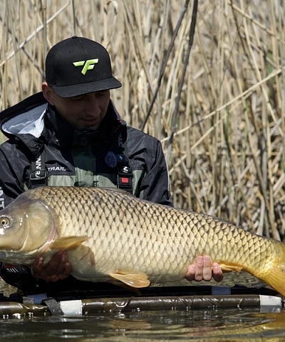 Comment pêcher la carpe en France : le guide complet