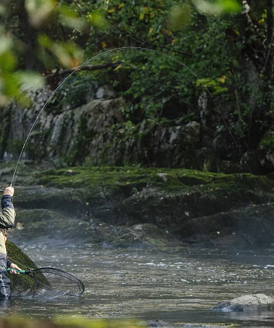 How to Choose the Best Fly Line for Beginners