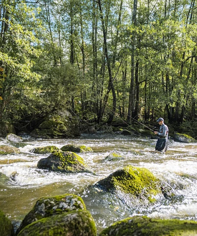 The Complete Guide to Using Live Bait in Freshwater