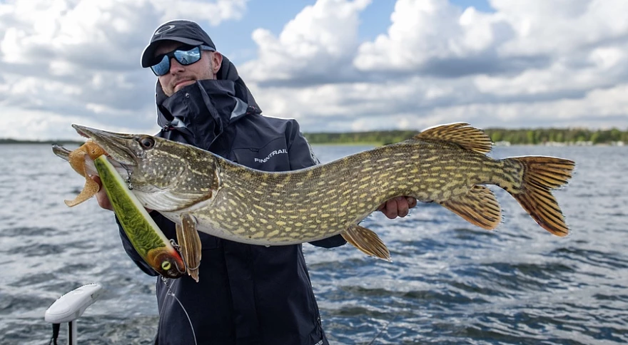 Germany Fishing Laws: Penalties for No License