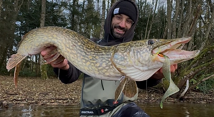 Guide de la pêche du brochet dans les eaux allemandes