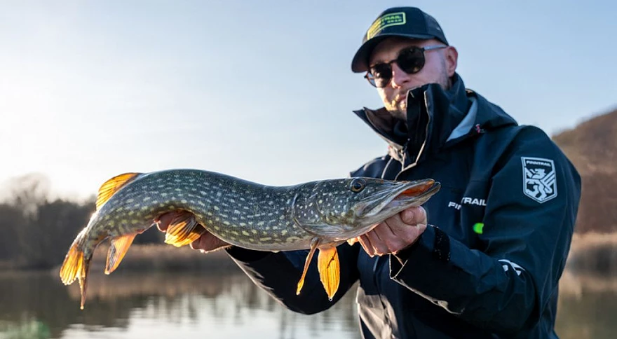 Ouverture de la saison de pêche aux carnassiers en France