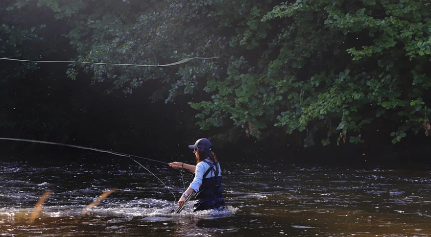 The Complete Guide to Selecting a Salmon Fly Reel