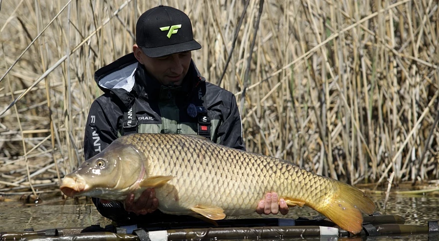 How to Catch Carp in France: The Complete Guide 