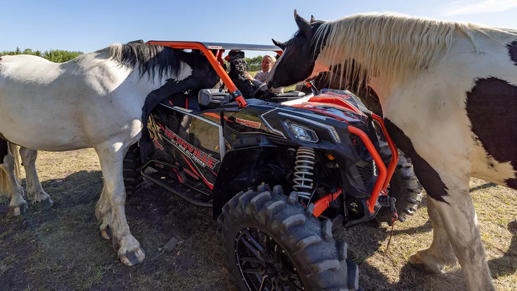 quiet utv near horse