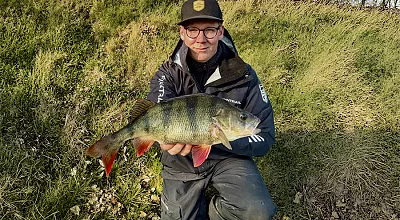 Pro Tips for Big Perch Fishing